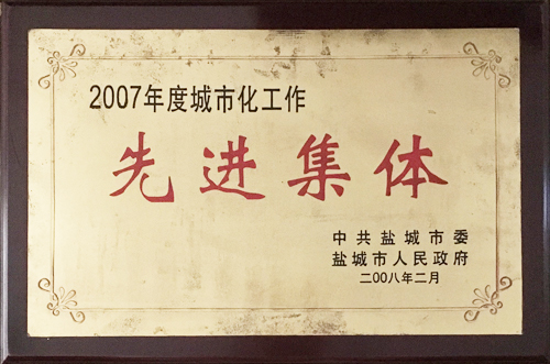 2008年2月城市化工作“先進(jìn)集體”.jpg