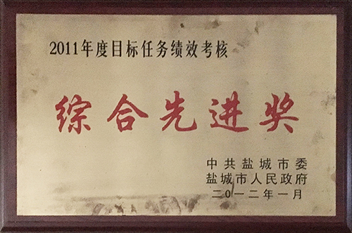 2012年1月目標(biāo)任務(wù)績效考核“綜合先進(jìn)獎(jiǎng)”.JPG