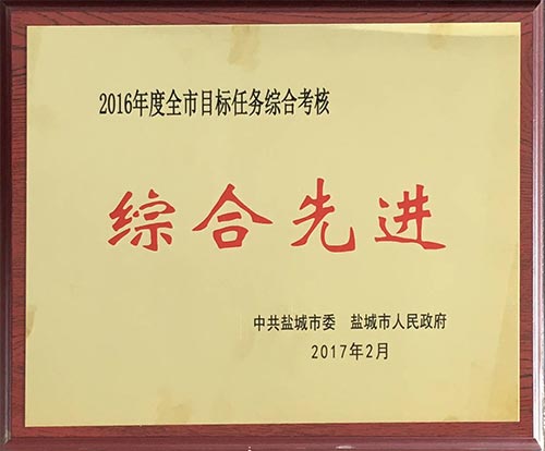 2016年2月全市目標(biāo)任務(wù)綜合考核綜合先進(jìn).JPG